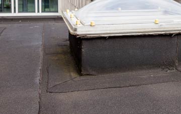 disadvantages of Freeland flat roofs