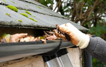 gutter cleaning Freeland