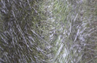 Freeland fibreglass roof work